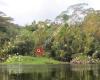 Daintree Boatman Nature Tours