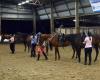 Dalson Park Indoor Equestrian Centre