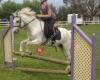 Danbury Park Equitation