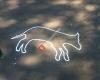 Dasher, Surry Hills Dog Memorial