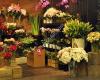 Deluca's Florist