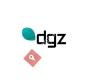 DGZ Chartered Accountants