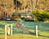 Diamond Forest Farm Stay