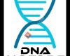 DNA Motors
