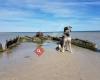 Dog Friendly Beach - Altona, PA Burns Reserve