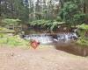 Donnellys Weir Picnic Area