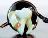 Dr Gary Davies - Brush Dental