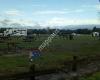 Drysdale Leopold Pony Club