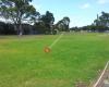 Dwyer Road Reserve
