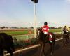 Eagle Farm Racecourse