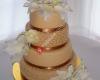 Elisabeths Delicious Cakes - Sunshine Coast Weddings