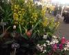 Emerald Hill Nursery