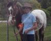 Equitouch Australia - Equine Massage