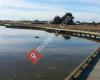 Estuary Boardwalk