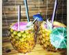 Exotic Pets Presents- Aloha Bar & Dining