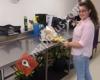 Flowers of Southport | Gold Coast Florist