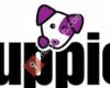 Fluppies Dog Fashion And Accessories