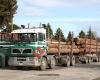 Forest Freighters & Forest Freighters Parts & Services