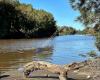 Georges River Road Reserve