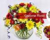 Gisborne Florist