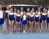 Gold Coast Gymnastics Club