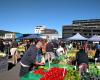 Harbourside Market