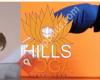 Hills Yoga Studio