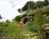 Hobbiton Movie Set