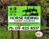 Horse Riding Warkworth Auckland