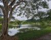 Impley Reserve