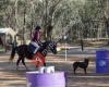 Ironbark Riding Centre