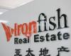 Ironfish Real Estate Melbourne - Property Management