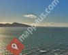 Kapiti Island Nature Tours