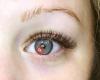 Katie lash & brow - eyelash extension & brow