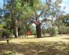 Kenton Avenue Reserve