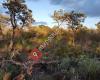 Landsdale Conservation Park