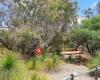 Lightning Swamp Bushland