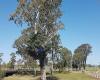 Lions Park