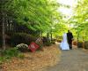 Love In The Mountains Celebrant - Marriage & Wedding Services Blue Mountains