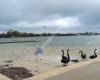 Mandurah Eastern Foreshore