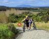 Matakana Bicycle Hire Limited