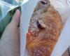 Mayfair Bakery and Patisserie