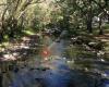 Merri Creek Bike Trail