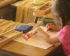 Milkwood Steiner School