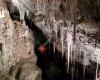 Mole Creek Caves