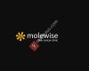 Molewise Skin Cancer Clinic