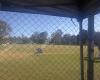 Nerang Cardinals Baseball Club