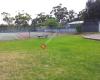Netherby Reserve