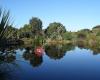 Nga Manu Nature Reserve