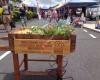 Nundah Fresh Farmer's Markets